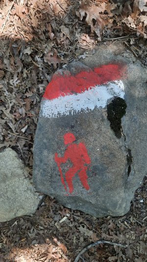 20250612_101311.jpg