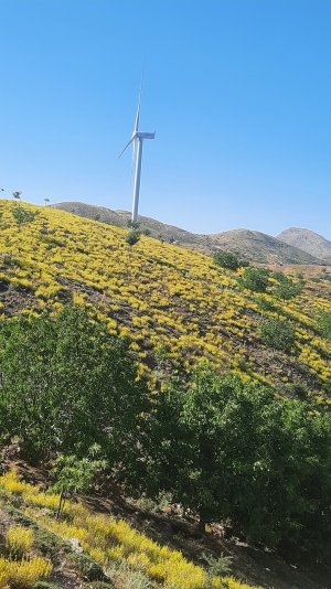 20250625_091125.jpg
